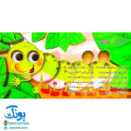 کتاب چشم قلمبه ۵ حشرات