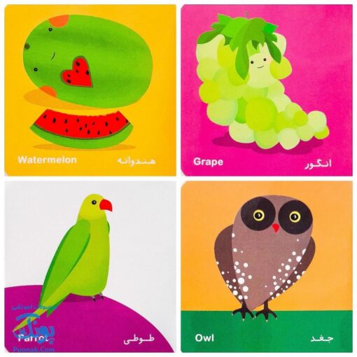فرهنگ تصویری نی‌نی‌ها مجموعه ۶ جلدی سبز دو زبانه