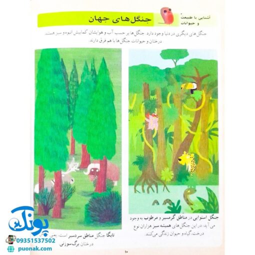 کتاب دایره المعارف دانستنی‌های پایه برای خردسالان (کتاب های مرجع)