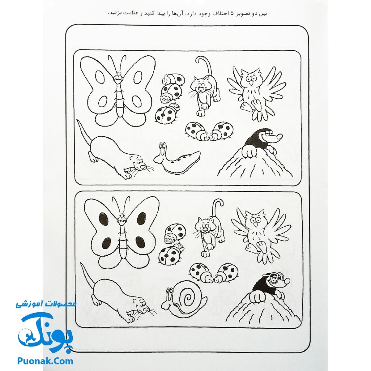 کتاب کار کودک چند اختلاف ۲ (مجموعه قاصدک دانایی ۱۲)