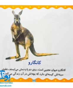 کتاب حیوانات (مجموعه می‌بینم، یاد می‌گیرم ۵)