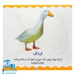 کتاب حیوانات (مجموعه می‌بینم، یاد می‌گیرم ۵)