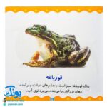 کتاب حیوانات (مجموعه می‌بینم، یاد می‌گیرم ۵)