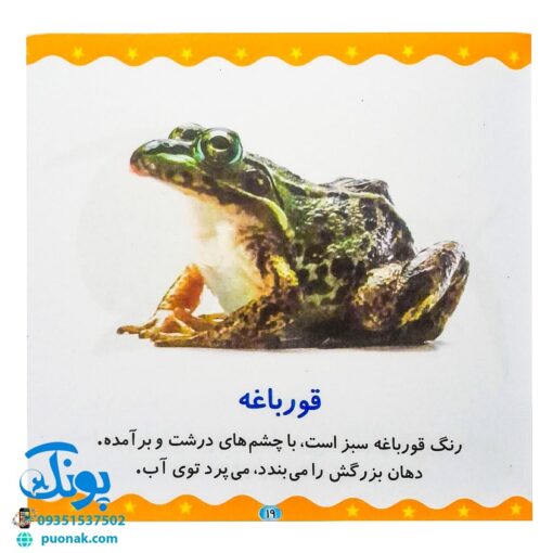 کتاب حیوانات (مجموعه می‌بینم، یاد می‌گیرم ۵)