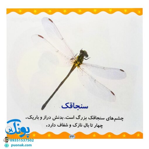 کتاب حیوانات (مجموعه می‌بینم، یاد می‌گیرم ۵)