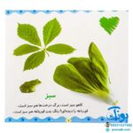 کتاب شکل‌ها و رنگ‌ها (مجموعه می‌بینم یاد می‌گیرم ۴)