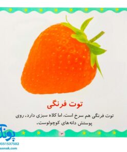 کتاب میوه‌ها و سبزی‌ها (مجموعه می‌بینم، یاد می‌گیرم ۱)