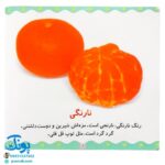 کتاب میوه‌ها و سبزی‌ها (مجموعه می‌بینم، یاد می‌گیرم ۱)