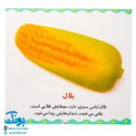 کتاب میوه‌ها و سبزی‌ها (مجموعه می‌بینم، یاد می‌گیرم ۱)