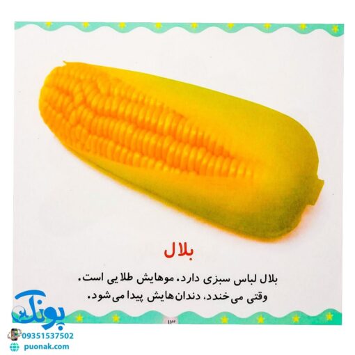 کتاب میوه‌ها و سبزی‌ها (مجموعه می‌بینم، یاد می‌گیرم ۱)