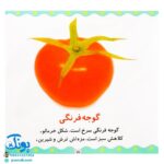 کتاب میوه‌ها و سبزی‌ها (مجموعه می‌بینم، یاد می‌گیرم ۱)