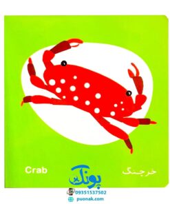 کتاب فرهنگ تصویری نی نی ها (حیوان های دریایی) - شهر قلم
