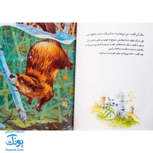 کتاب فرانکلین دروغ می‌گوید (مجموعه داستان های فرانکلین)