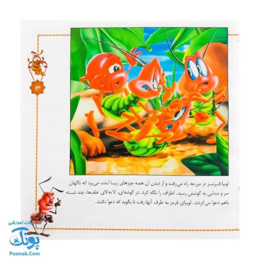 کتاب شهر حشره ها مجموعه ۴ جلدی