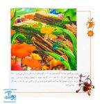 کتاب شهر حشره ها مجموعه ۴ جلدی