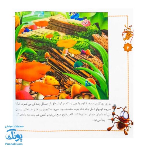 کتاب شهر حشره ها مجموعه ۴ جلدی