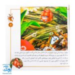 کتاب شهر حشره ها مجموعه ۴ جلدی
