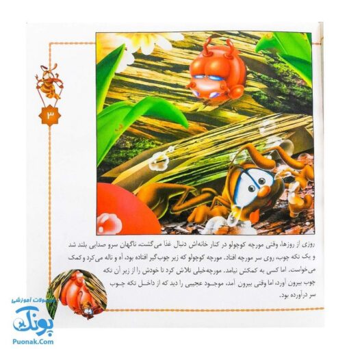 کتاب شهر حشره ها مجموعه ۴ جلدی