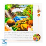 کتاب شهر حشره ها مجموعه ۴ جلدی