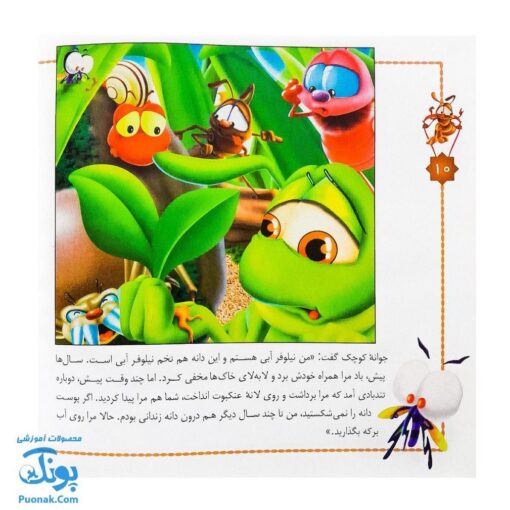 کتاب شهر حشره ها مجموعه ۴ جلدی