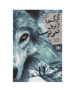 کتاب گرگ‌ها از برف نمی‌ترسند (رمان نوجوان)