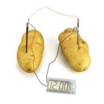 کیت آموزشی ساخت ساعت با سیب زمینی Potato Clock