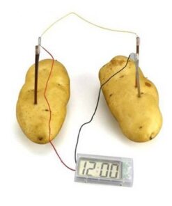 کیت آموزشی ساخت ساعت با سیب زمینی Potato Clock