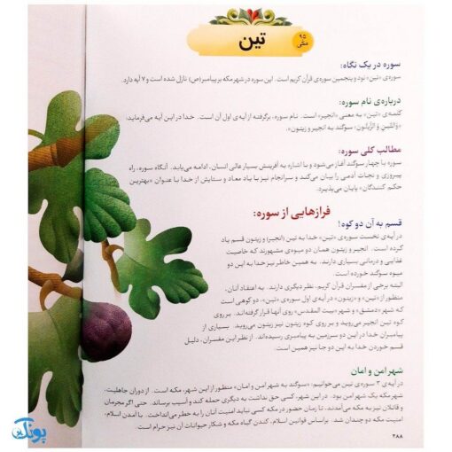 کتاب فرهنگ‌نامه سوره‌های قرآن به زبان ساده (مجموعه کتاب مرجع دین)