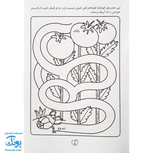 کتاب پیچ در پیچ ۲ (مازهای آسان آموزشی جهت تقویت هوش برای کودکان پیش دبستانی)
