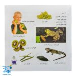 کتاب بیابیا تماشا ۱ (شناخت رنگ ها) - آموزش مفاهیم کاربردی به همراه تصویر و شعر