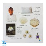کتاب بیابیا تماشا ۱ (شناخت رنگ ها) - آموزش مفاهیم کاربردی به همراه تصویر و شعر