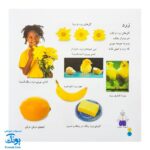 کتاب بیابیا تماشا ۱ (شناخت رنگ ها) - آموزش مفاهیم کاربردی به همراه تصویر و شعر