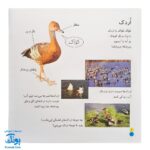 کتاب بیابیا تماشا ۸ (شناخت حیوانات)