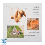 کتاب بیابیا تماشا ۸ (شناخت حیوانات)