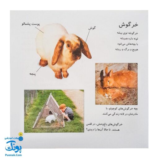 کتاب بیابیا تماشا ۸ (شناخت حیوانات)