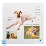 کتاب بیابیا تماشا ۸ (شناخت حیوانات)