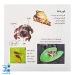 کتاب بیابیا تماشا ۸ (شناخت حیوانات)