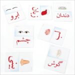 کارت تراشه های الماس (مقدماتی)