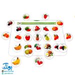 هوش چین مجموعه یک تکه مدل زاغک