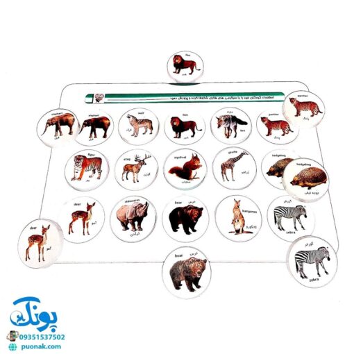 هوش چین مجموعه یک تکه مدل زاغک