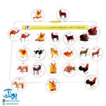 هوش چین مجموعه یک تکه مدل زاغک