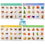 هوش چین مجموعه یک تکه مدل زاغک