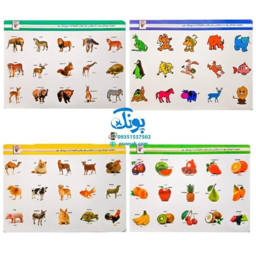 هوش چین مجموعه یک تکه مدل زاغک