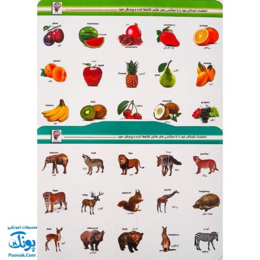 هوش چین مجموعه سه تکه مدل زاغک
