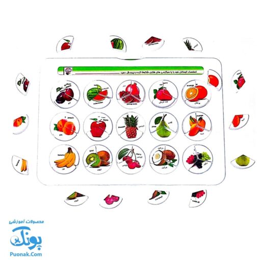 هوش چین مجموعه سه تکه مدل زاغک