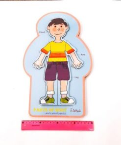 پازل چوبی آشنایی با اندام بدن دهکده ۶ تکه | PARTS OF BODY