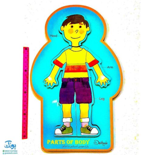 پازل چوبی آشنایی با اندام بدن دهکده ۶ تکه | PARTS OF BODY