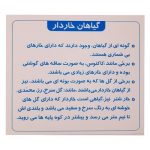 مجموعه فلش کارت های علمی آموزشی و تصویری به آموز آشنایی با گیاهان