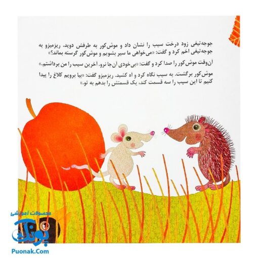 کتاب ماجرای سیب قرمز (یک داستان تخیلی با مفهوم قرآنی اثر کلر ژوبرت)