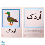 کارت‌های تصویری نگاره ها امین و آزاده‌ به اضافه ۳۰ بازی تثبیت کننده یادگیری به همراه روش تدریس